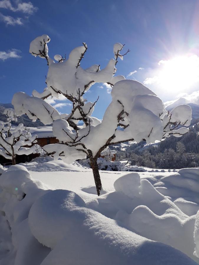 Haus Gmahblick Ferienwonungen Hotel Alpbach Buitenkant foto