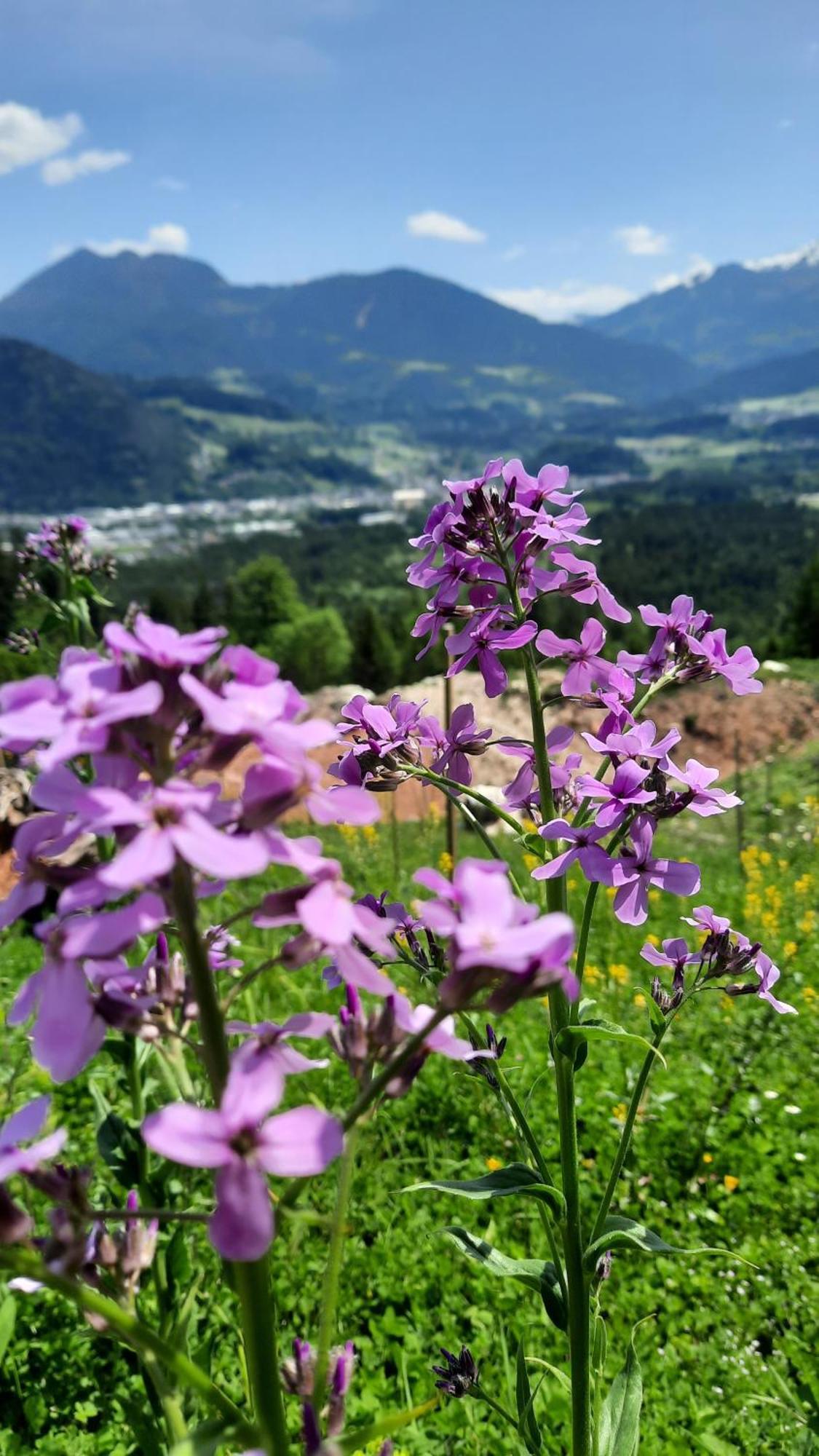 Haus Gmahblick Ferienwonungen Hotel Alpbach Buitenkant foto